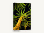 Palms After Dark, night palm trees looking up photograph, landscape canvas wall art print ready to hang