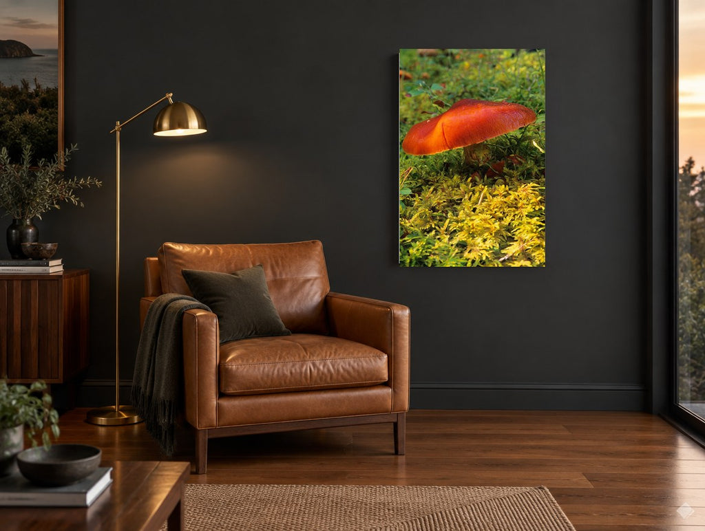 Orange Cap in the Moss floral canvas print on the wall of a charcoal living room