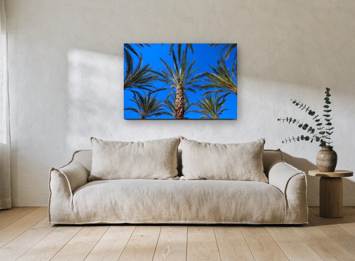 Palms Against Blue landscape canvas print on the wall of a living room