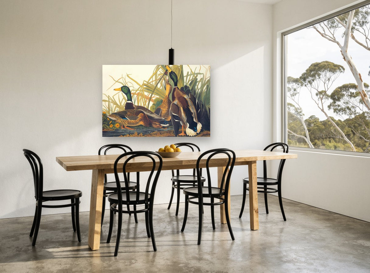 Mallards Among the Reeds floral canvas print on the wall of a dining room