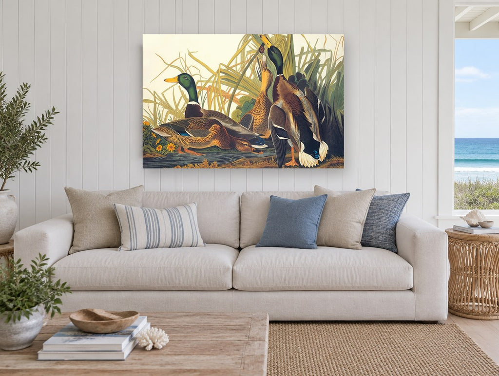 Mallards Among the Reeds floral canvas print on the wall of a beach house living room