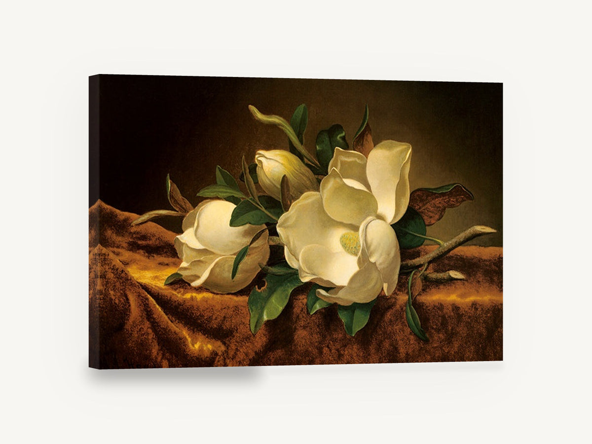 Magnolias on Brown Velvet, cream magnolia still life painting, floral canvas wall art print ready to hang