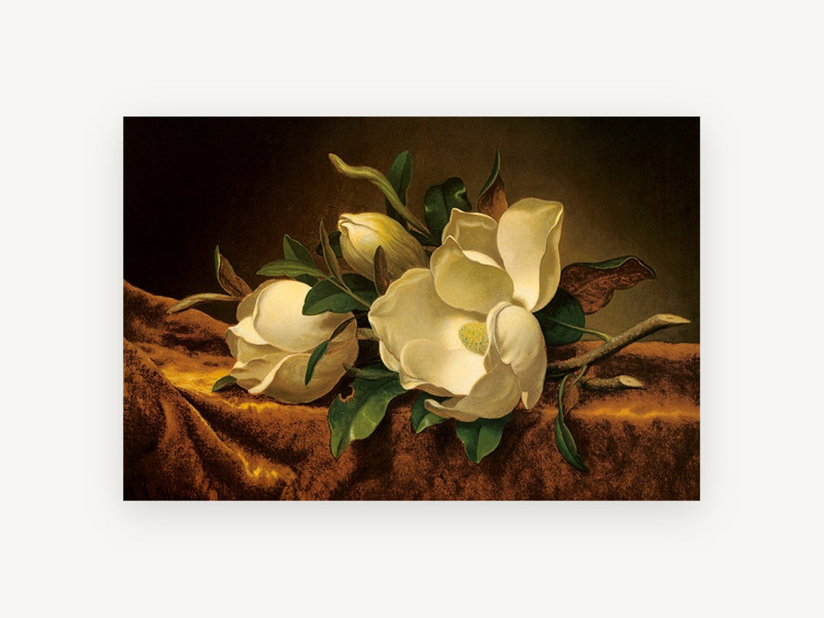 Magnolias on Brown Velvet, floral canvas wall art print, front view
