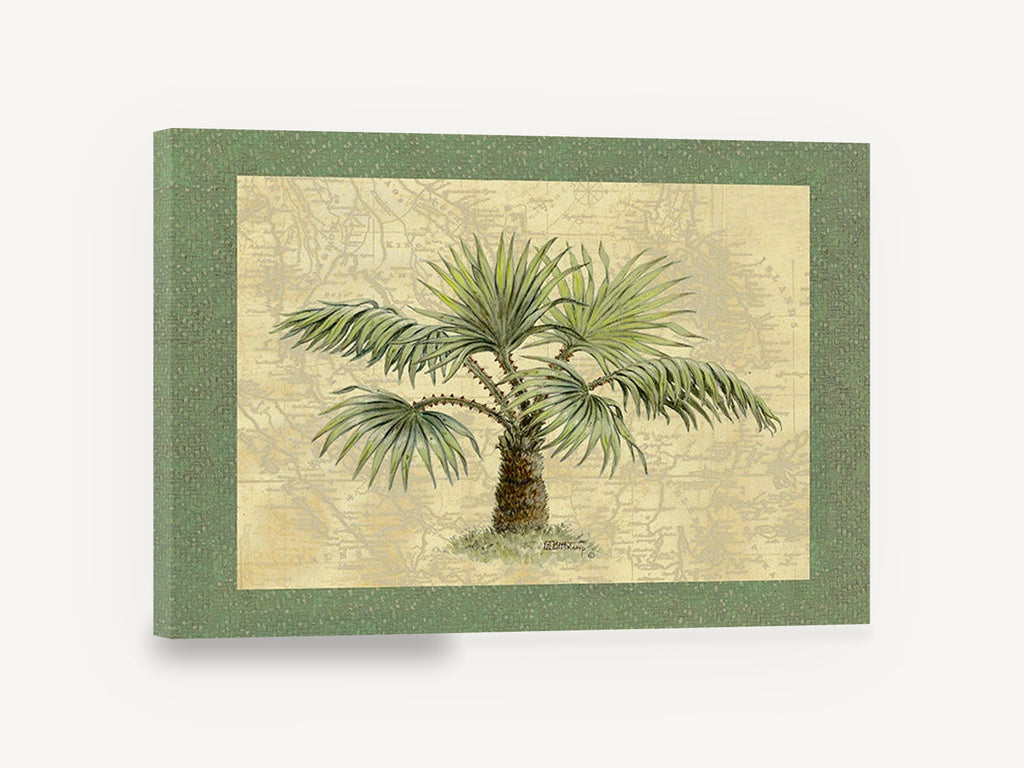 Map Palm Study, palm tree on antique map, floral canvas wall art print ready to hang