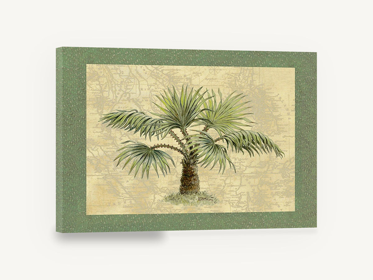 Map Palm Study, palm tree on antique map, floral canvas wall art print ready to hang