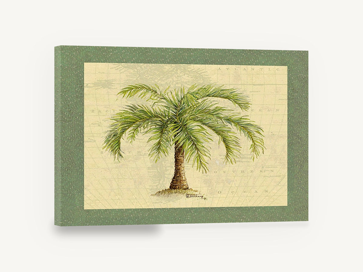 Palm on the Chart, palm tree vintage map botanical illustration, floral canvas wall art print ready to hang