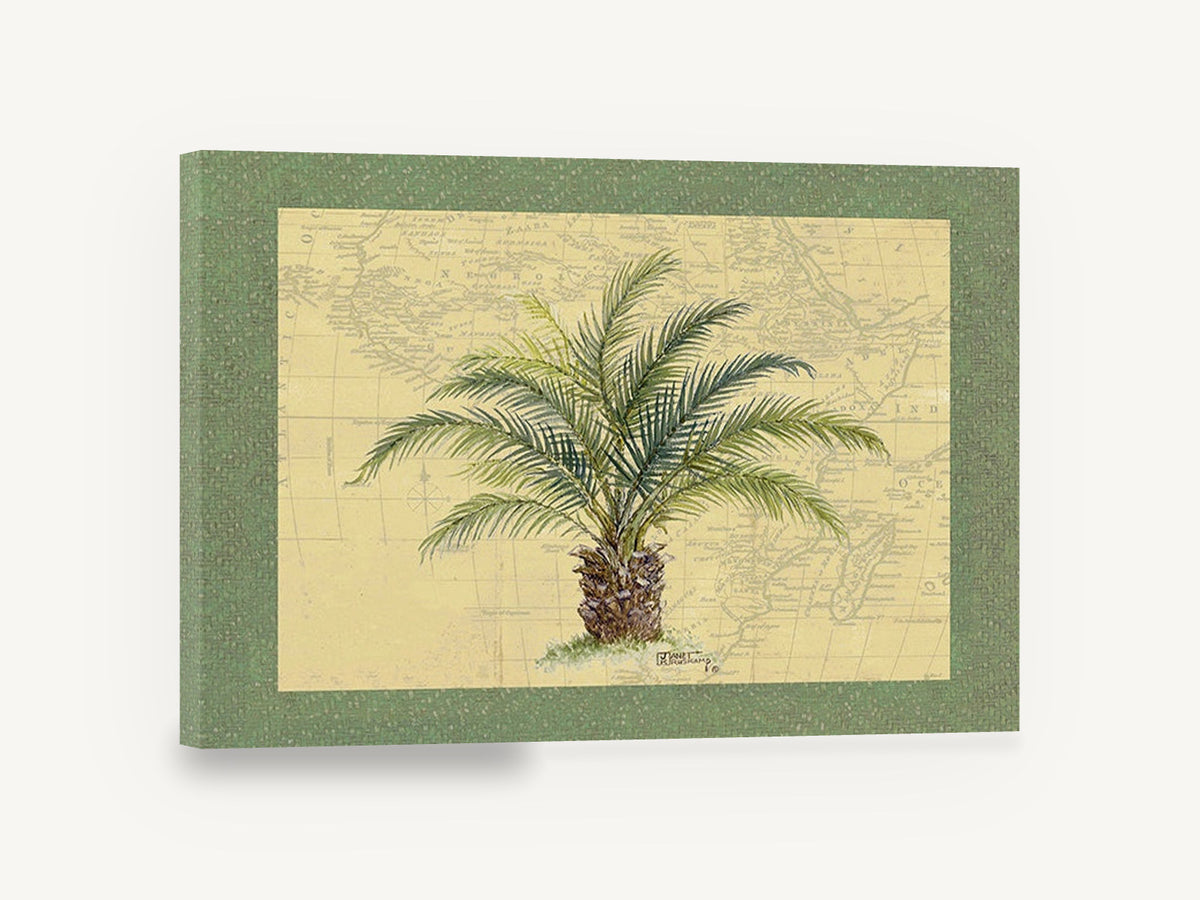 Palm on Old Map, palm tree vintage map botanical, floral canvas wall art print ready to hang