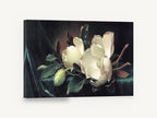 Magnolia on Teal Velvet, white magnolia blossom still life, floral canvas wall art print ready to hang