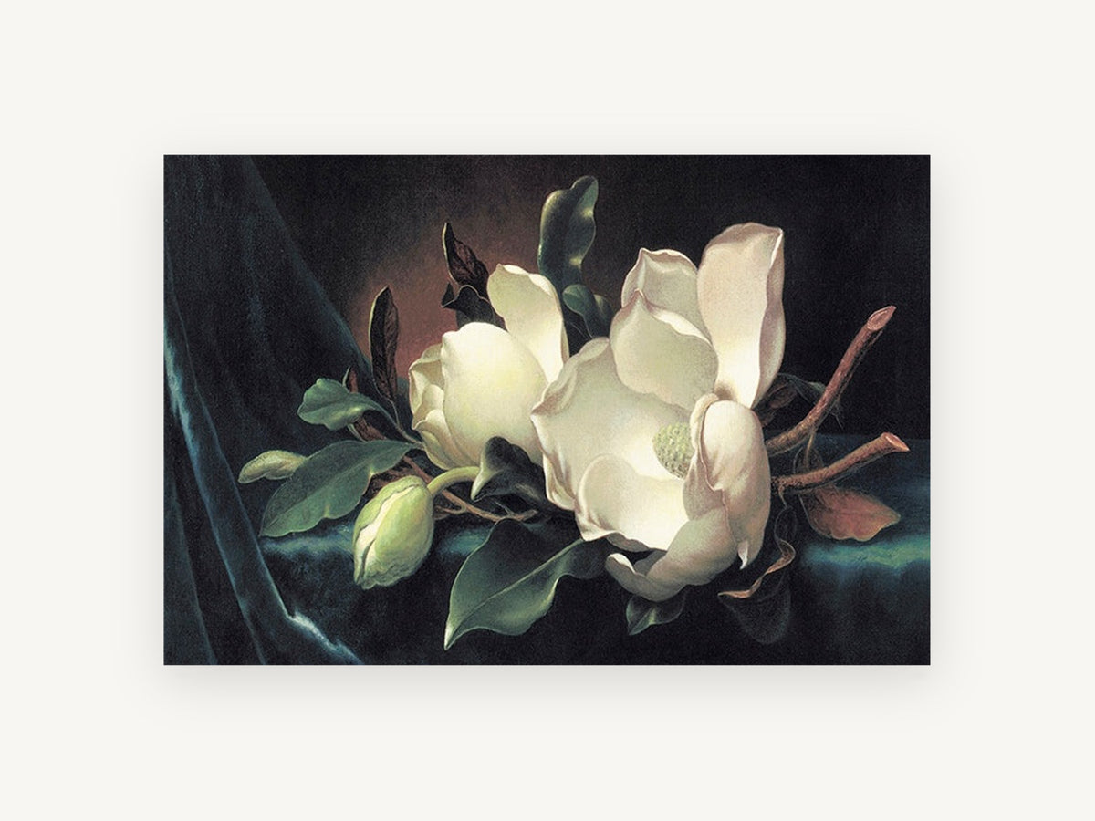 Magnolia on Teal Velvet, floral canvas wall art print, front view