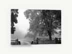 Gate in the Mist, misty oak tree black and white photograph, floral canvas wall art print ready to hang