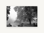 Gate in the Mist, floral canvas wall art print, front view