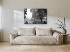 Gate in the Mist floral canvas print on the wall of a living room