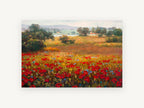 Scarlet Poppy Farmhouse Vista, floral canvas wall art print, front view