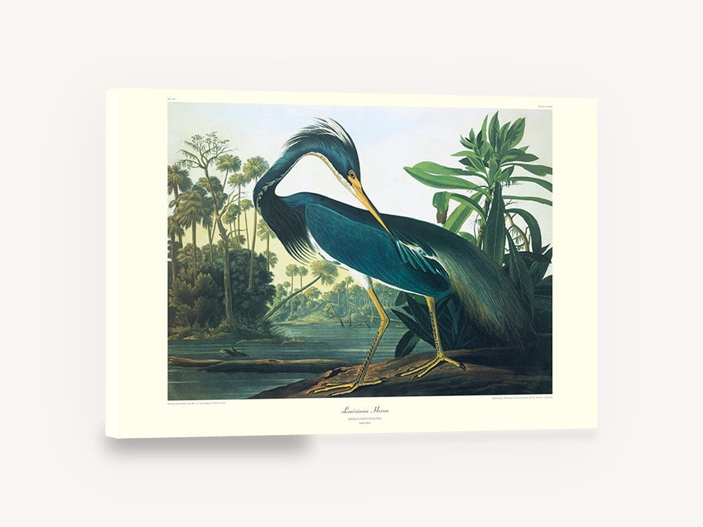 Teal Heron by the Lagoon, blue heron palm lagoon illustration, floral canvas wall art print ready to hang
