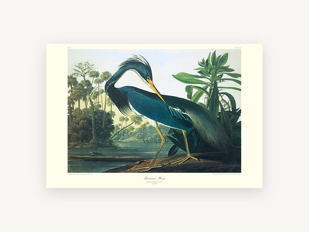 Teal Heron by the Lagoon, floral canvas wall art print, front view