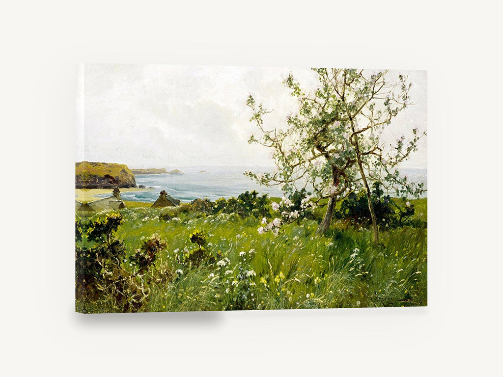 Blossom Above the Bay, blossoming apple tree coastal meadow painting, coastal canvas wall art print ready to hang
