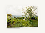 Blossom Above the Bay, blossoming apple tree coastal meadow painting, coastal canvas wall art print ready to hang