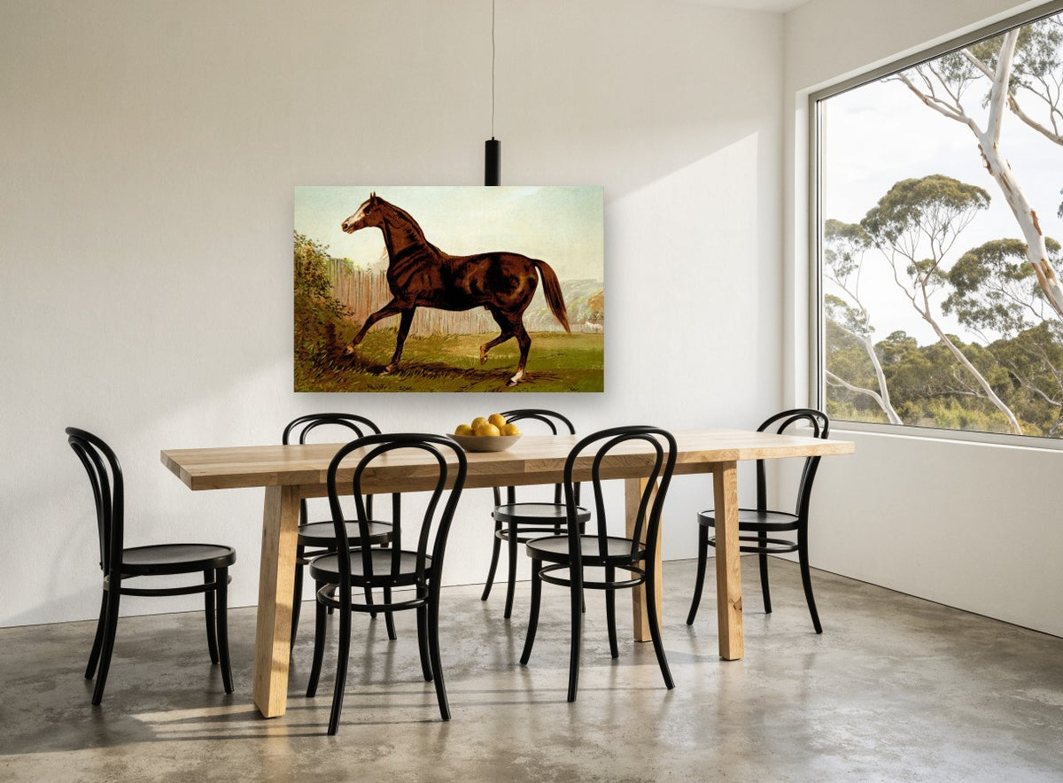 Bay Horse in Paddock landscape canvas print on the wall of a dining room