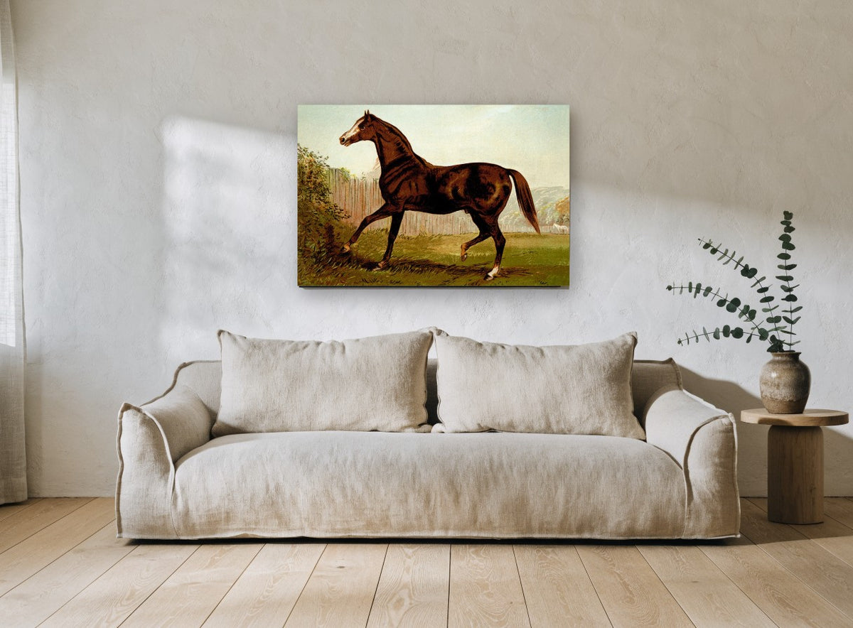 Bay Horse in Paddock landscape canvas print on the wall of a living room