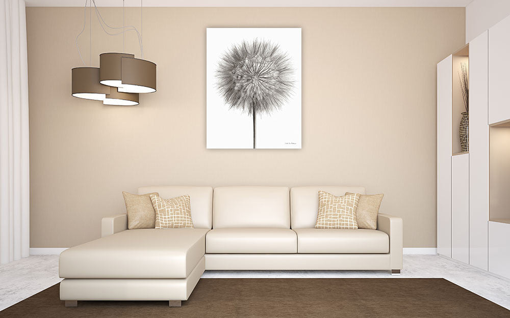 Dandelion Fluff on White Wall Art Print on the wall
