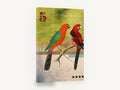 Two Parrots Collage, vintage parrot collage illustration, animal canvas wall art print ready to hang