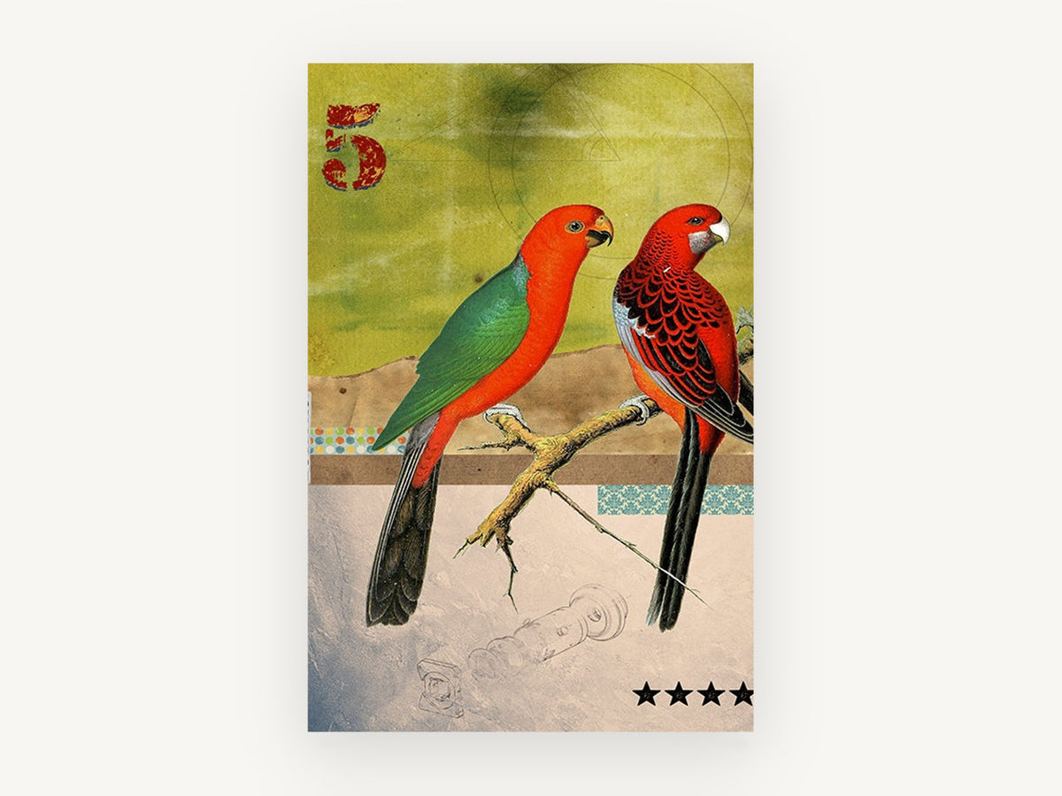 Two Parrots Collage, vintage parrot collage illustration, animal canvas wall art print, front view