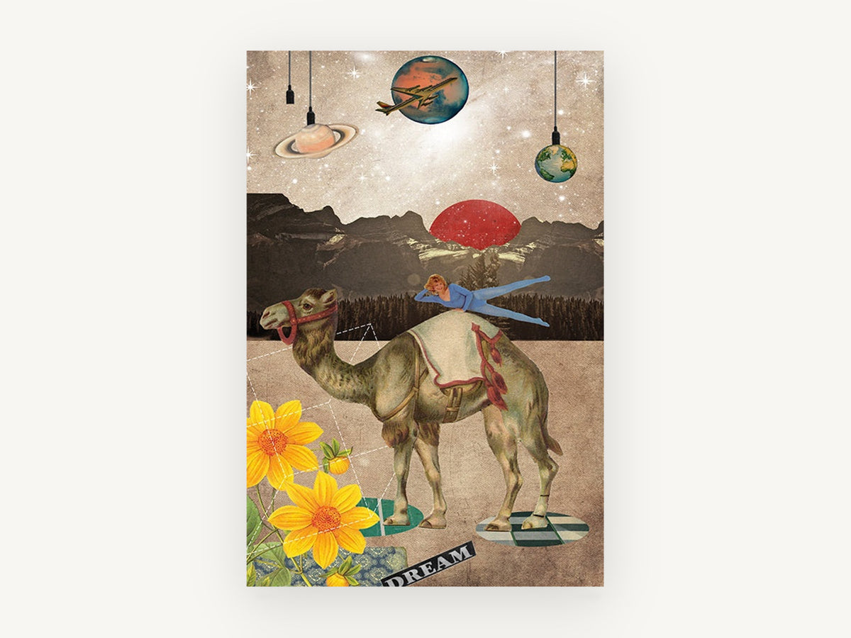 Dreaming Camel Collage, surreal camel collage illustration, animal canvas wall art print, front view