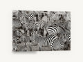 Crowded Zebra Herd, zebra herd black and white photograph, animal canvas wall art print ready to hang