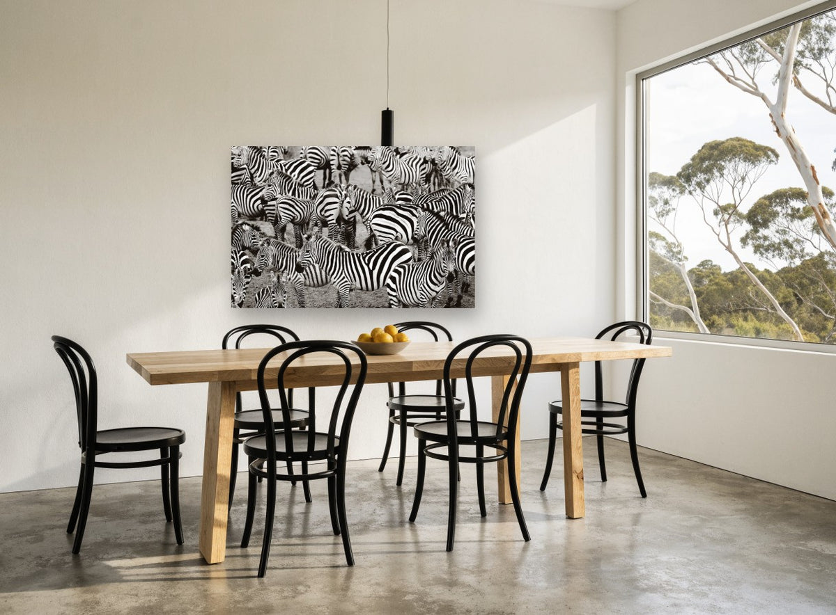 Crowded Zebra Herd animal canvas print on the wall of a dining room