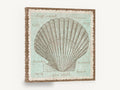 Fan Shell Study, vintage scallop shell coastal illustration, coastal canvas wall art print ready to hang