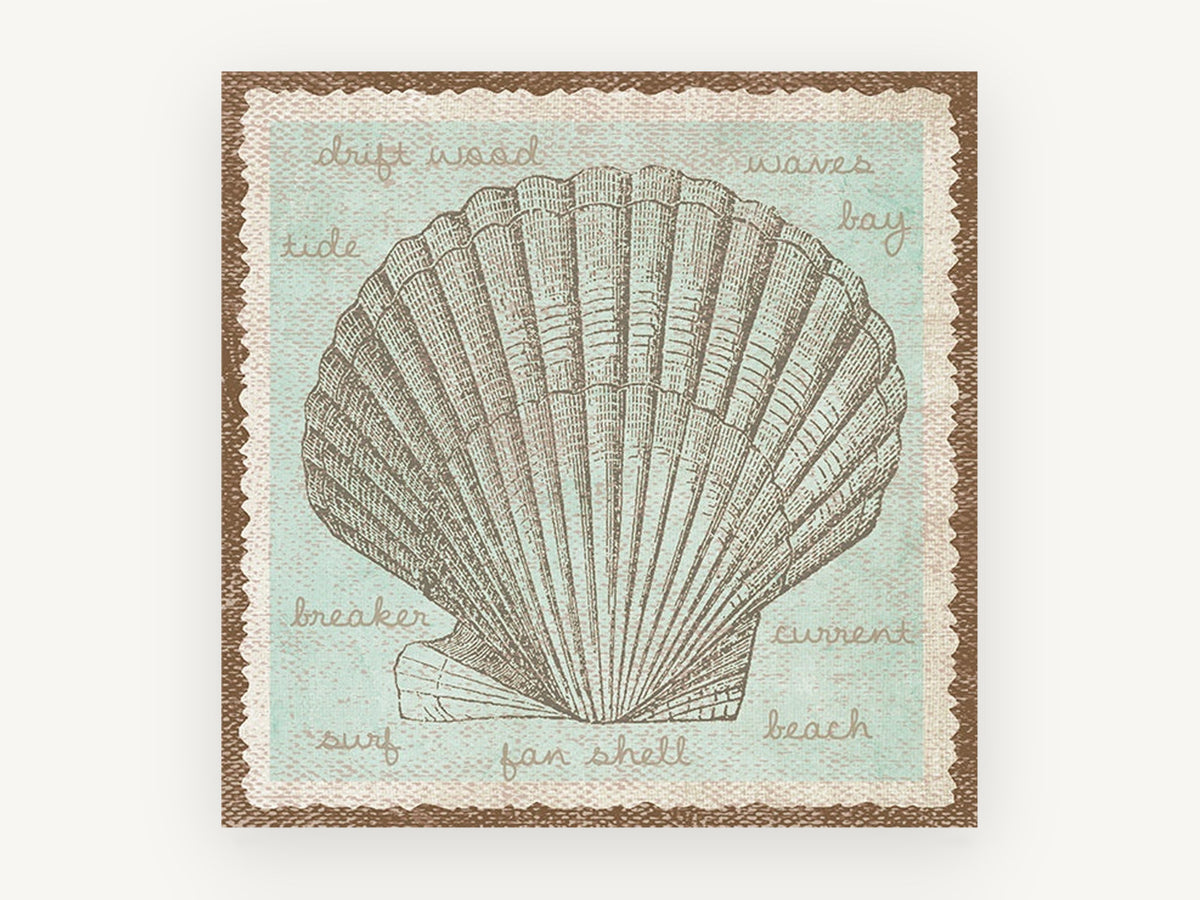 Fan Shell Study, coastal canvas wall art print, front view