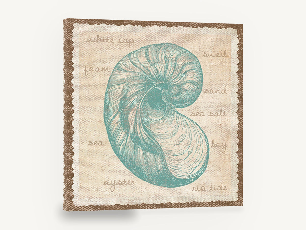Teal Nautilus Shell Study, teal nautilus shell coastal illustration, coastal canvas wall art print ready to hang