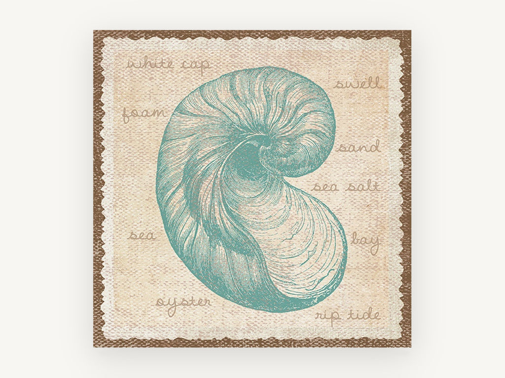 Teal Nautilus Shell Study, coastal canvas wall art print, front view