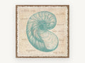 Teal Nautilus Shell Study, coastal canvas wall art print, front view