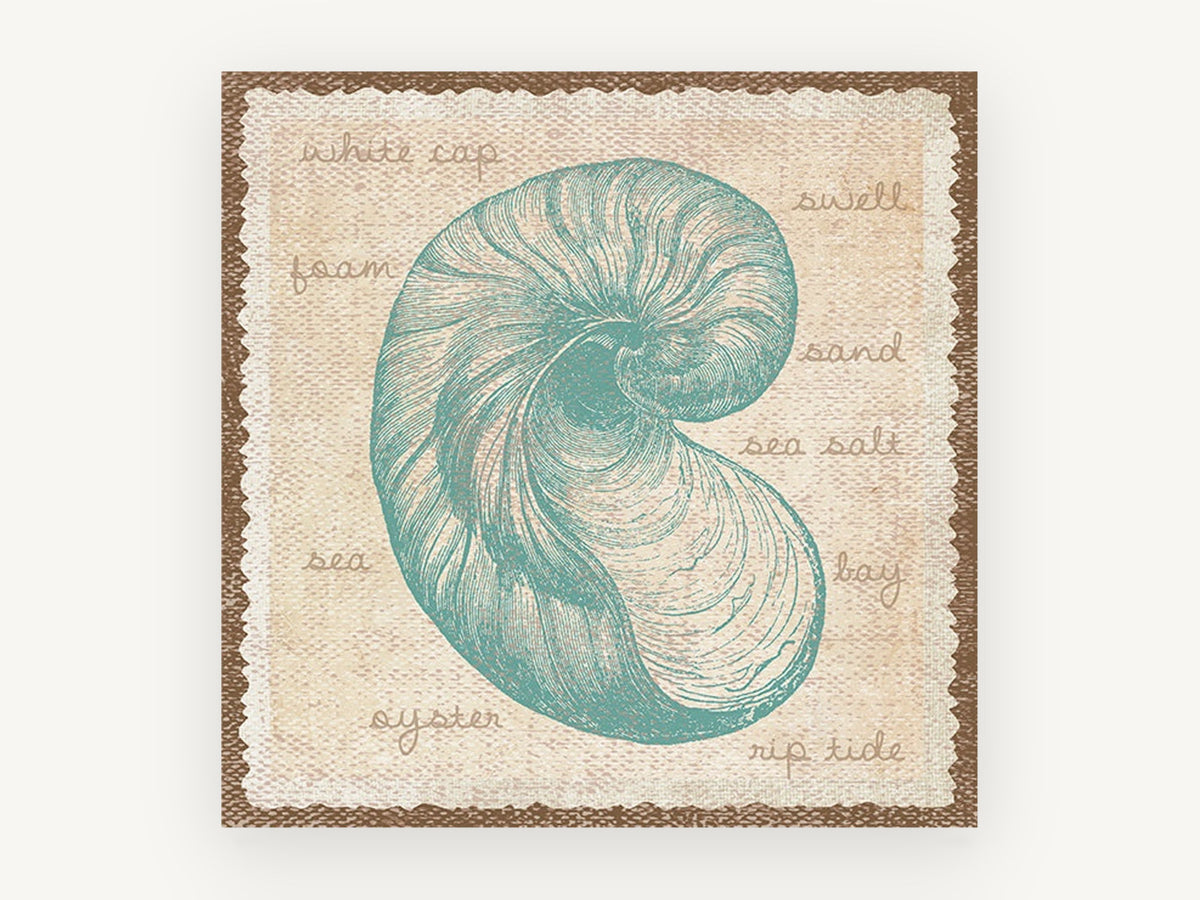 Teal Nautilus Shell Study, coastal canvas wall art print, front view