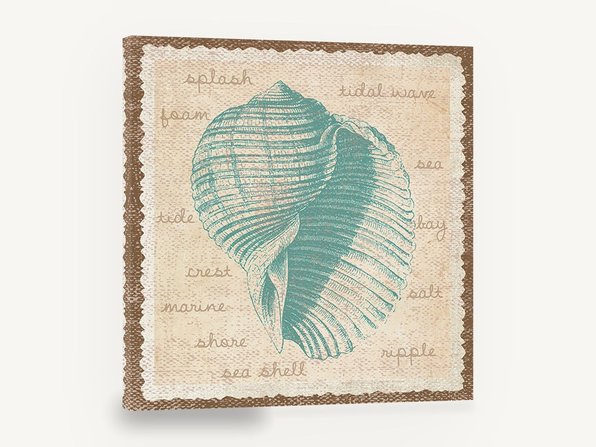Teal Shell Vocabulary, teal seashell vintage illustration, coastal canvas wall art print ready to hang