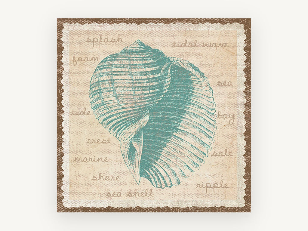 Teal Shell Vocabulary, coastal canvas wall art print, front view