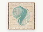 Teal Shell Vocabulary, coastal canvas wall art print, front view