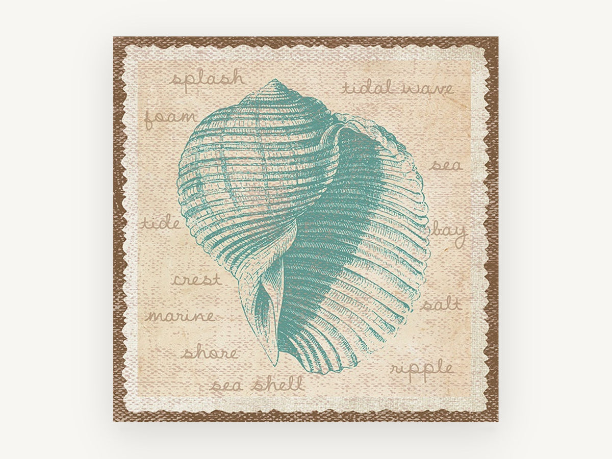 Teal Shell Vocabulary, coastal canvas wall art print, front view