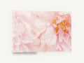Soft Blush Peonies, pale pink peony close up photograph, floral canvas wall art print ready to hang