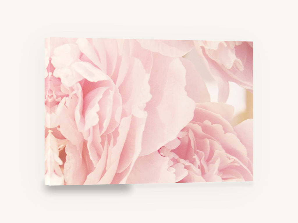 Soft Pink Peony Layers, pink peony close up photograph, floral canvas wall art print ready to hang