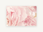 Soft Pink Peony Layers, floral canvas wall art print, front view