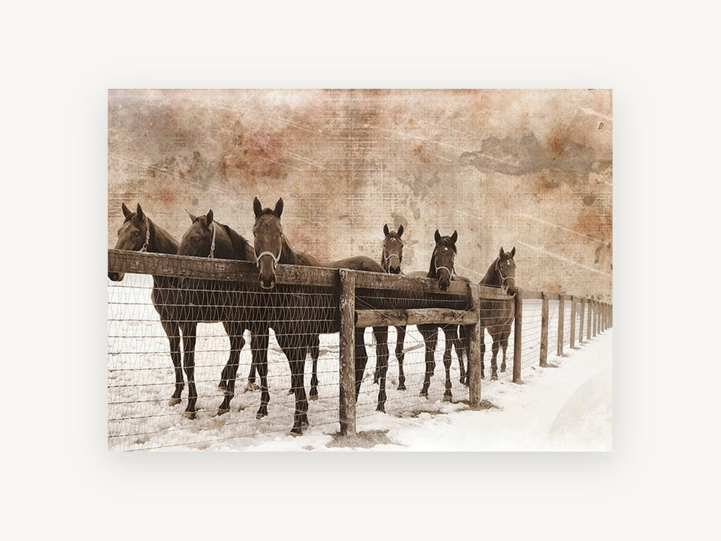 Six Horses in Snow, vintage canvas wall art print, front view