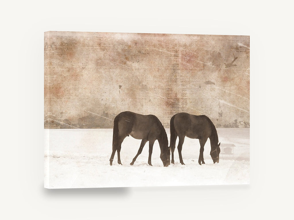 Grazing in Winter Snow, vintage horses grazing in snow, stretched canvas wall art print ready to hang