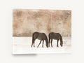 Grazing in Winter Snow, vintage horses grazing in snow, stretched canvas wall art print ready to hang