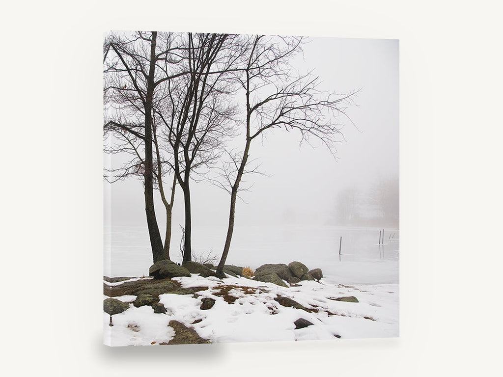 Winter Shore Fog, bare trees foggy frozen lake photograph, landscape canvas wall art print ready to hang