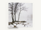 Winter Shore Fog, bare trees foggy frozen lake photograph, landscape canvas wall art print ready to hang
