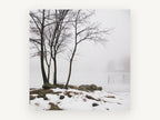 Winter Shore Fog, bare trees foggy frozen lake photograph, landscape canvas wall art print, front view