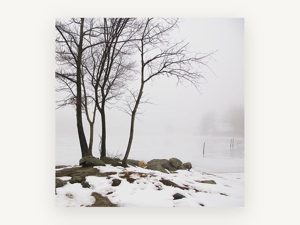 Winter Shore Fog, bare trees foggy frozen lake photograph, landscape canvas wall art print, front view