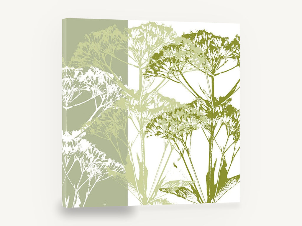 Green Umbel Silhouettes, green umbel flower silhouette botanical, floral canvas wall art print ready to hang